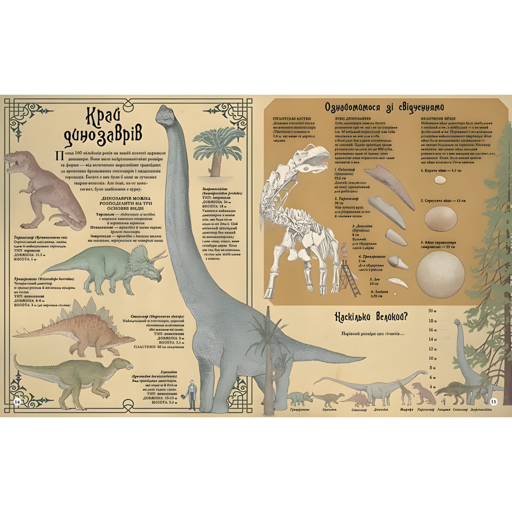 Найвища вежа, найменша зоря Найвища вежа, найменша зоря