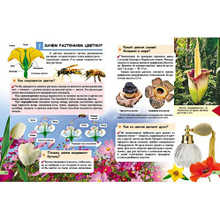 Подарочная энциклопедия «Почемучко обо всем на свете» – развивающая книга для детей (9789669474858) Подарочная энциклопедия «Почемучко обо всем на свете» – развивающая книга для детей (9789669474858)