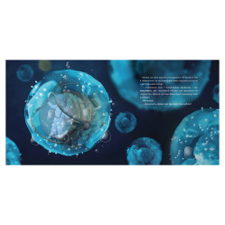 Охота на вирус