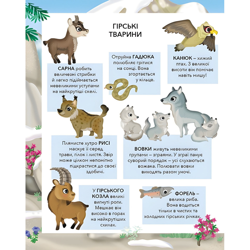 ПУХНАСТІ ЗВІРЯТА Гори ПУХНАСТІ ЗВІРЯТА Гори