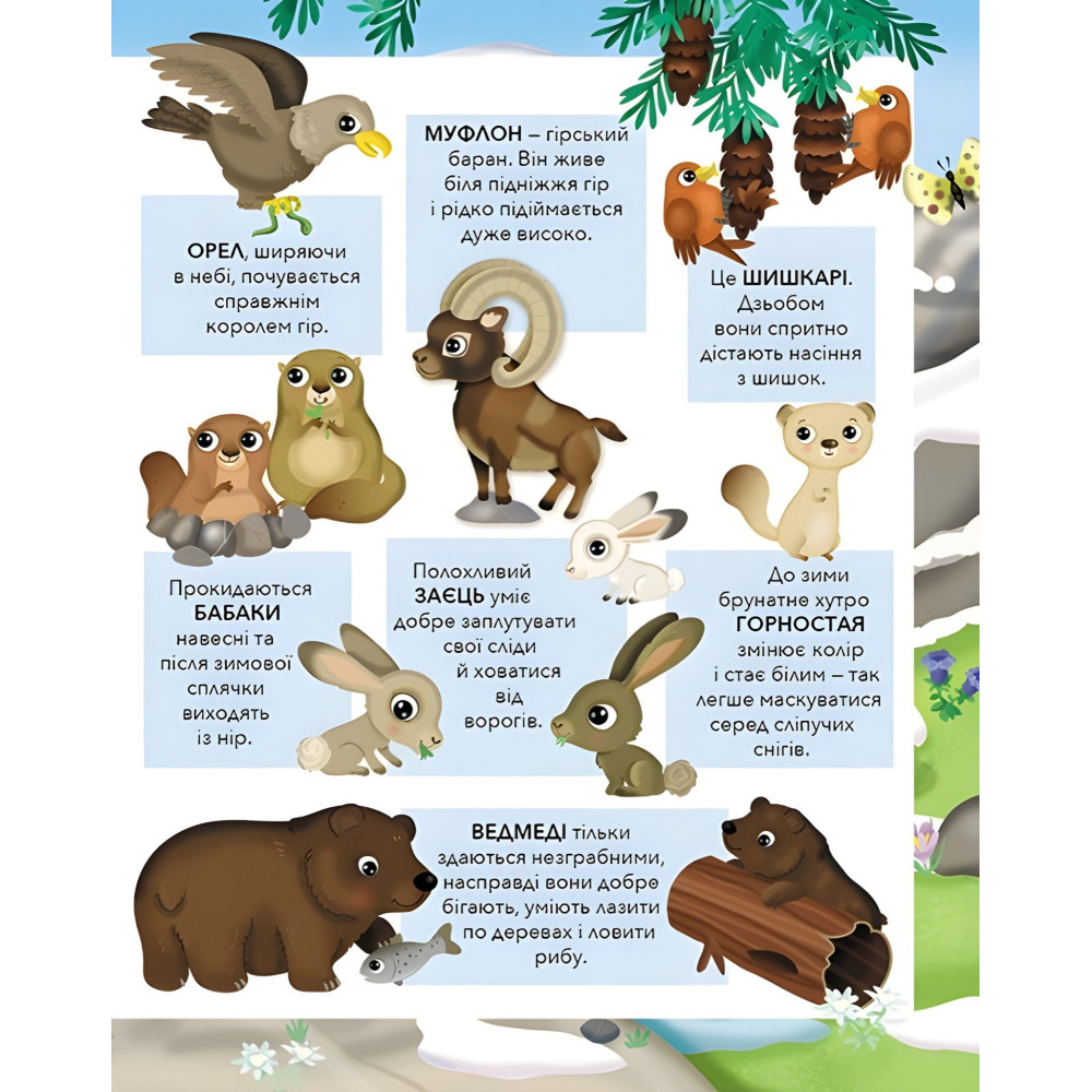 ПУХНАСТІ ЗВІРЯТА Гори ПУХНАСТІ ЗВІРЯТА Гори