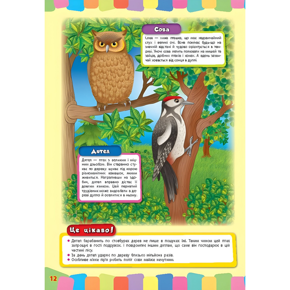 Розвивайко для малят. Дикі тварини (9789662843354) Розвивайко для малят. Дикі тварини (9789662843354)