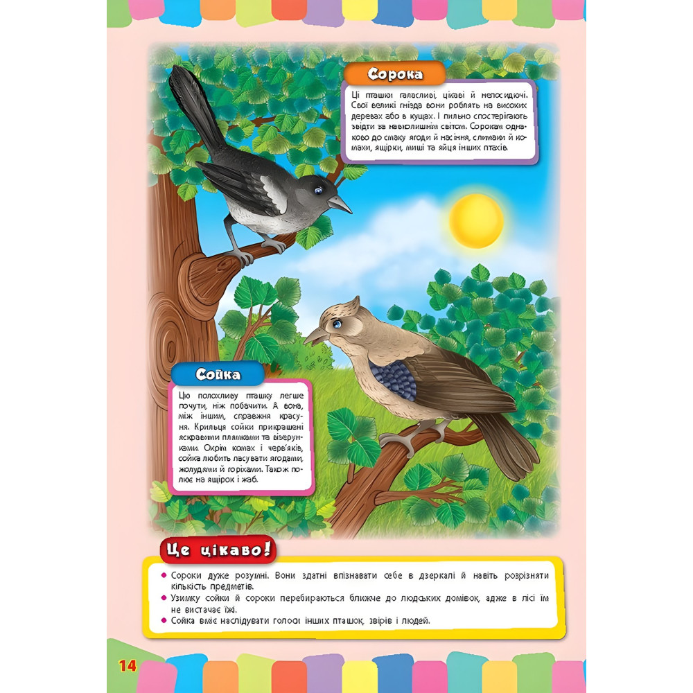 Розвивайко для малят. Дикі тварини (9789662843354) Розвивайко для малят. Дикі тварини (9789662843354)