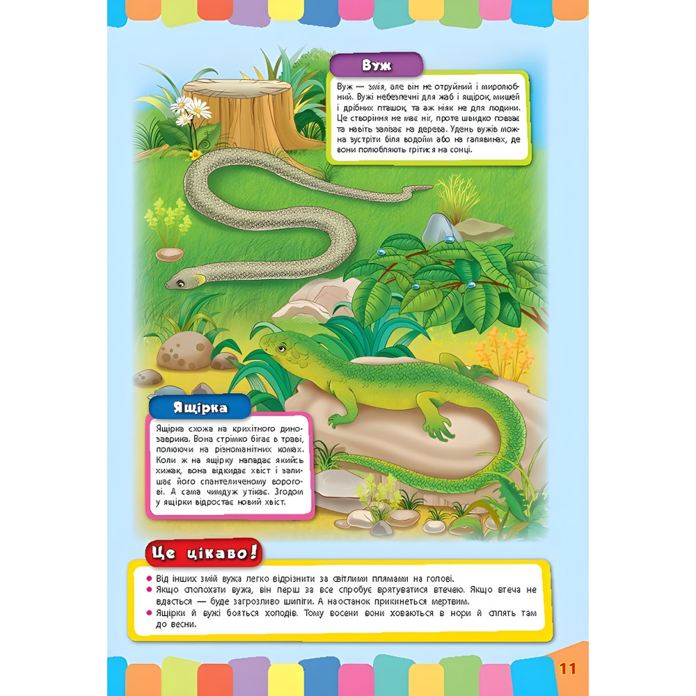 Розвивайко для малят. Дикі тварини (9789662843354) Розвивайко для малят. Дикі тварини (9789662843354)