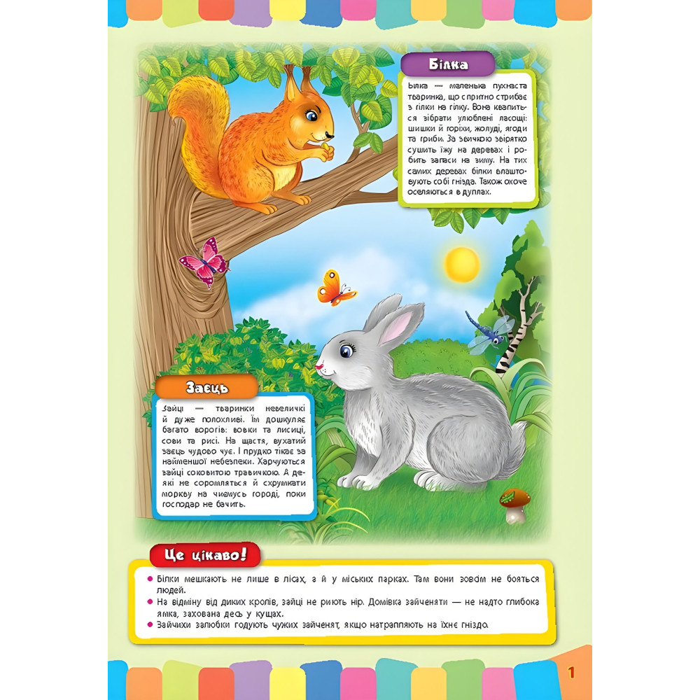 Розвивайко для малят. Дикі тварини (9789662843354) Розвивайко для малят. Дикі тварини (9789662843354)