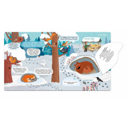 Сезонні зміни у лісі Сезонні зміни у лісі