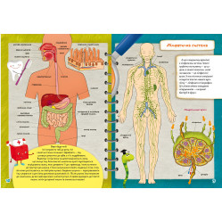 Школа чомучки. Тіло. 55 розвивальних наліпок