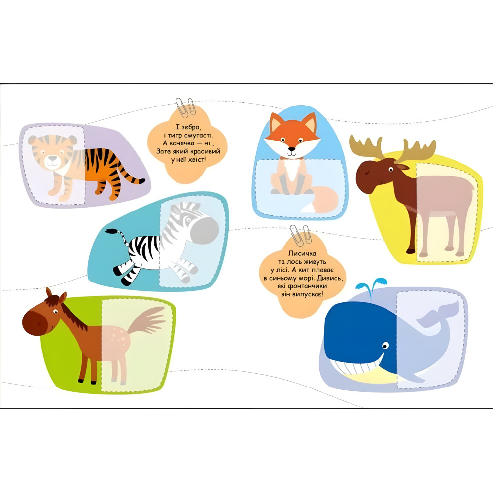 Шукаємо половинки Тварини Шукаємо половинки Тварини