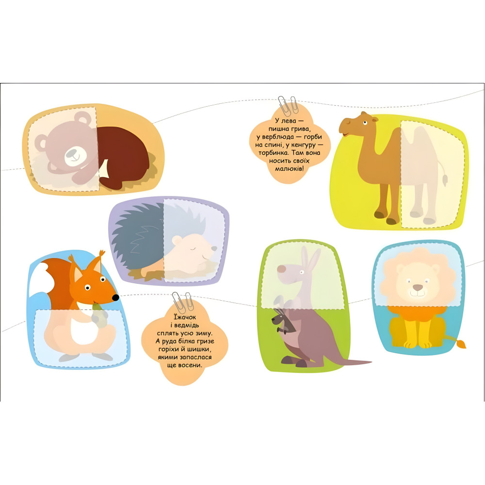 Шукаємо половинки Тварини Шукаємо половинки Тварини