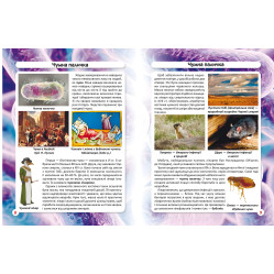 Світ навколо нас. Бактерії Світ навколо нас. Бактерії