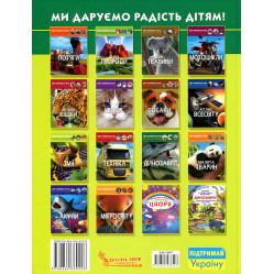 Мир вокруг нас. Насекомые