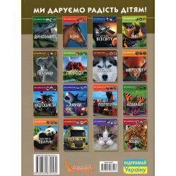 Мир вокруг нас. Стрелковое оружие Мир вокруг нас. Стрелковое оружие