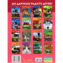 Мир вокруг нас. Большие кошки Мир вокруг нас. Большие кошки