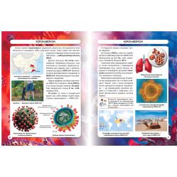 Світ навколо нас. Віруси Світ навколо нас. Віруси