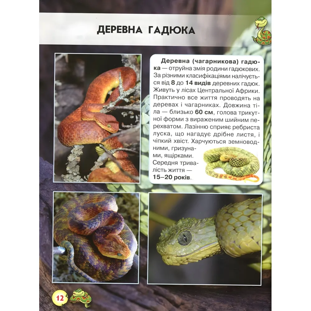 Мир вокруг нас. Змеи Мир вокруг нас. Змеи