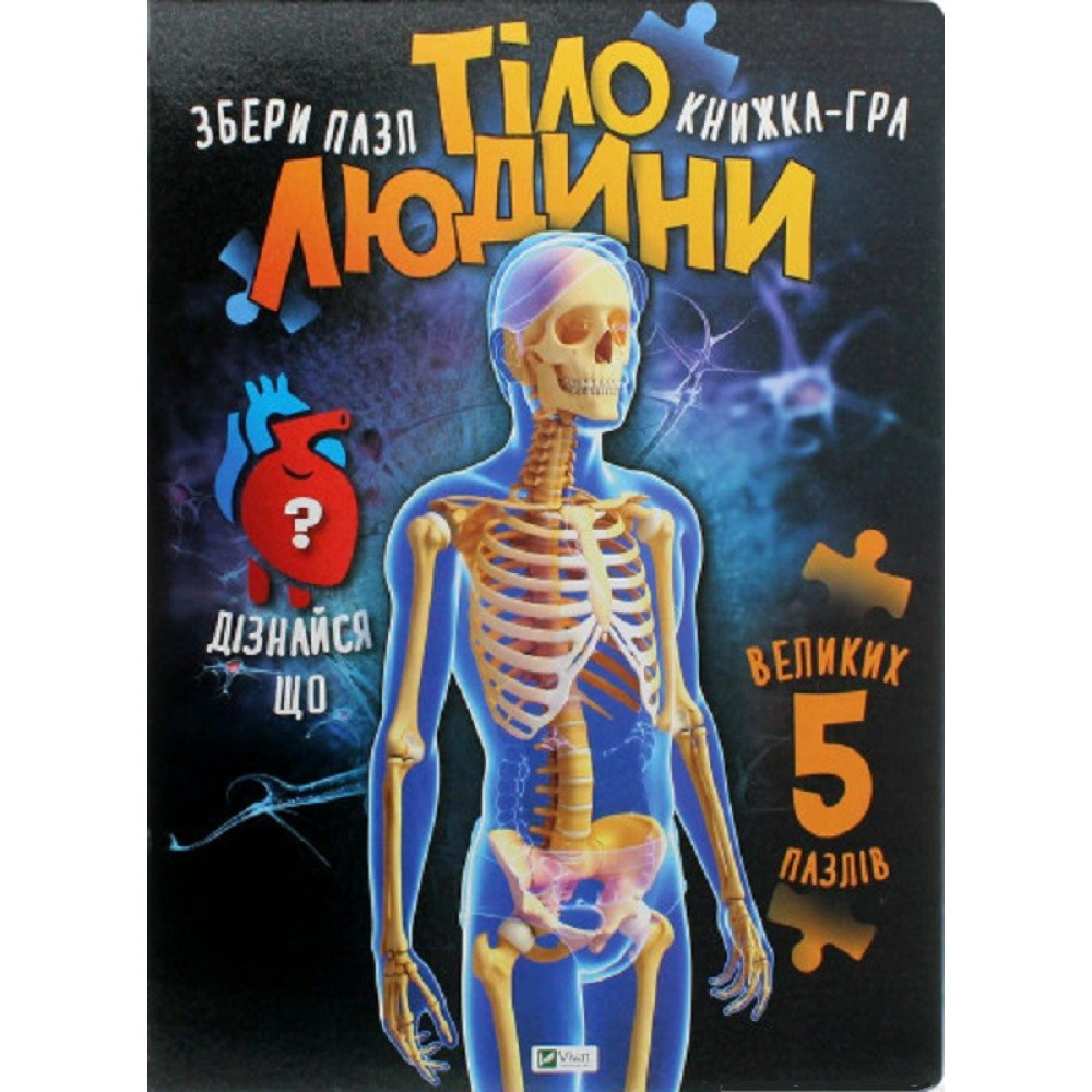 Тіло людини Тіло людини