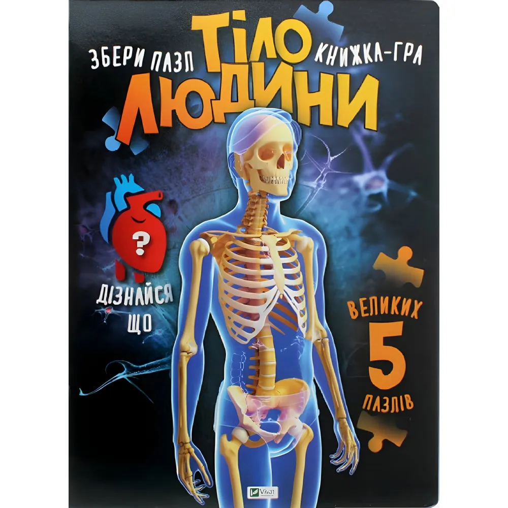 Тело человека Тело человека