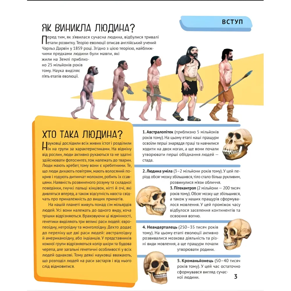 Тело человека Тело человека