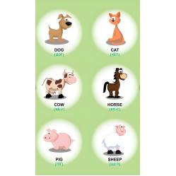 Тварини. Овочі. Фрукти. Мої перші слова англійською