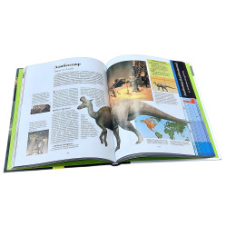 Велика енциклопедія «Динозаври» - пізнавальна книга для дітей (рос) (9786170945303) Велика енциклопедія «Динозаври» - пізнавальна книга для дітей (рос) (9786170945303)