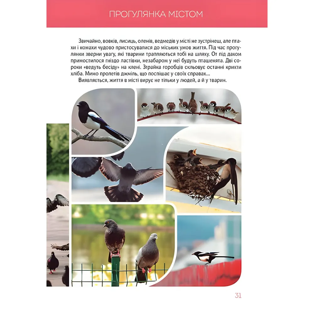 Большая книга о животных Большая книга о животных