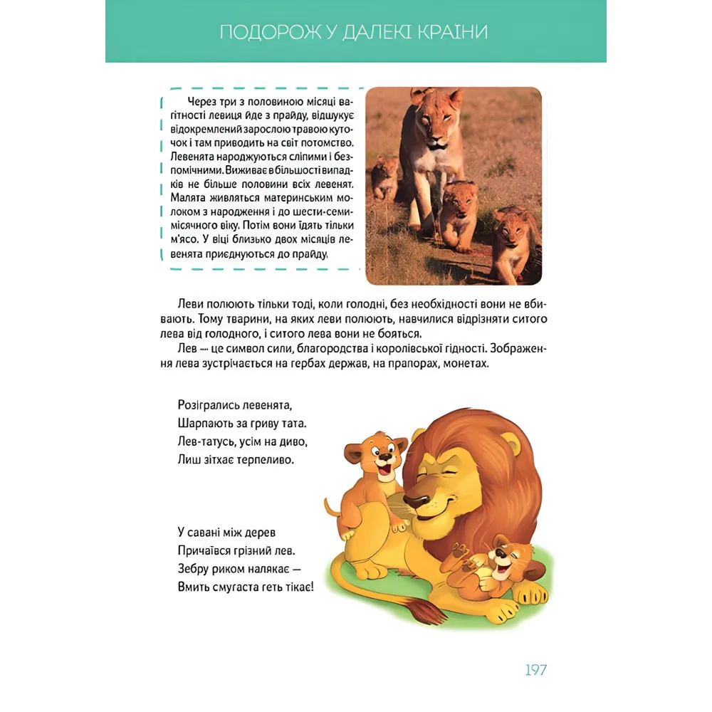 Большая книга о животных Большая книга о животных