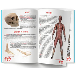 Велика книжка. Анатомія людини (9789669361974) Велика книжка. Анатомія людини (9789669361974)