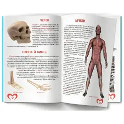 Велика книжка. Анатомія людини (9789669361974)