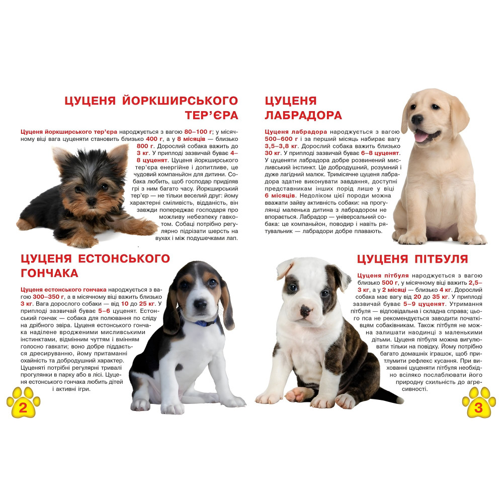 Велика книжка. Цуценята Велика книжка. Цуценята