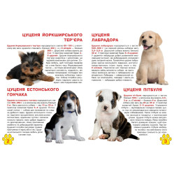 Велика книжка. Цуценята Велика книжка. Цуценята