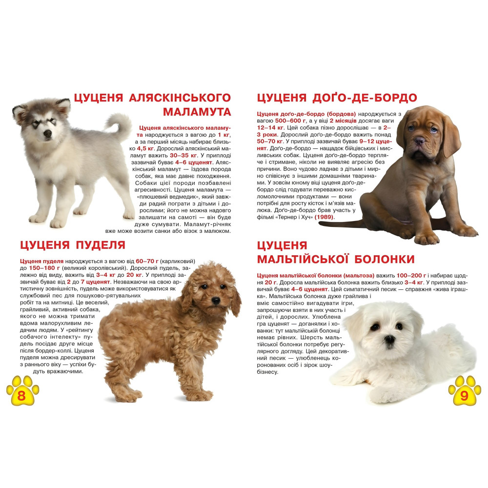 Велика книжка. Цуценята Велика книжка. Цуценята