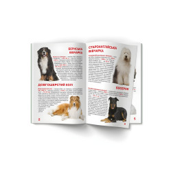 Большая книга. Служебные собаки (9789669361158) Большая книга. Служебные собаки (9789669361158)