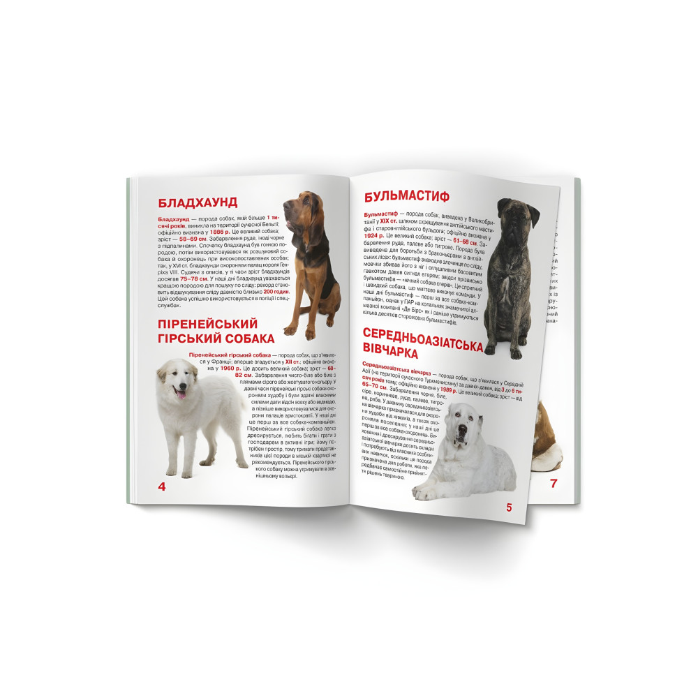 Большая книга. Служебные собаки (9789669361158) Большая книга. Служебные собаки (9789669361158)