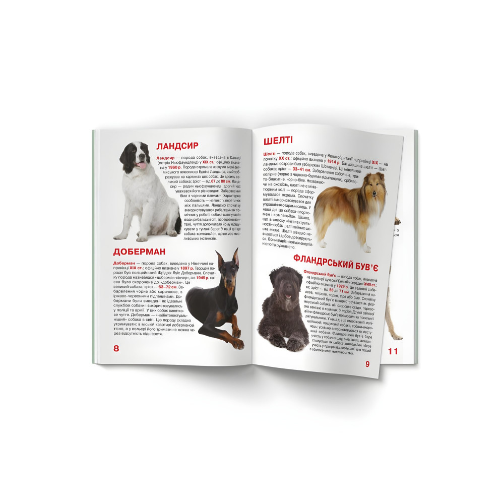 Большая книга. Служебные собаки (9789669361158) Большая книга. Служебные собаки (9789669361158)