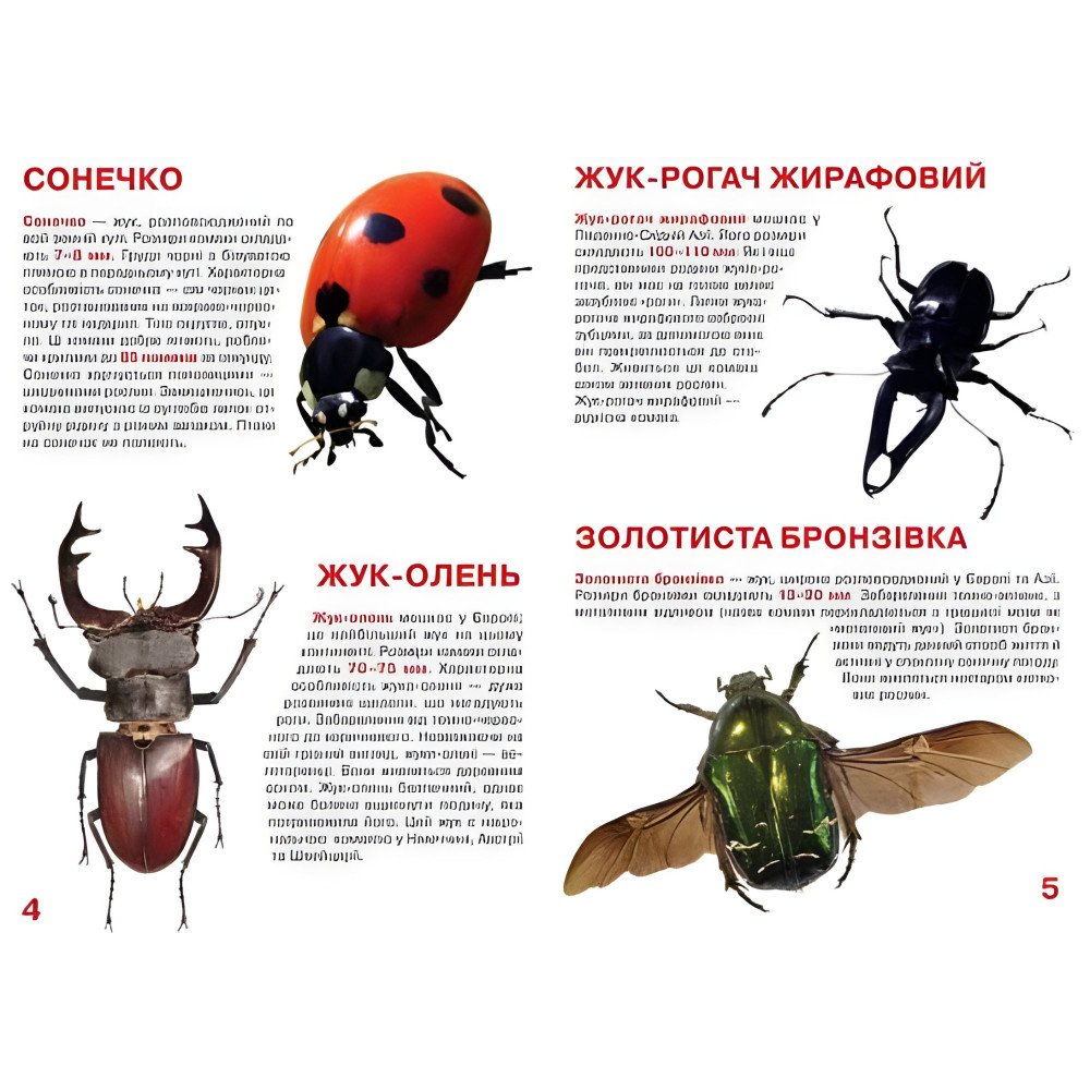 Велика книжка. Жуки Велика книжка. Жуки