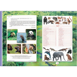 Ви маєте це знати. Світ звірів (9786175474693) Ви маєте це знати. Світ звірів (9786175474693)