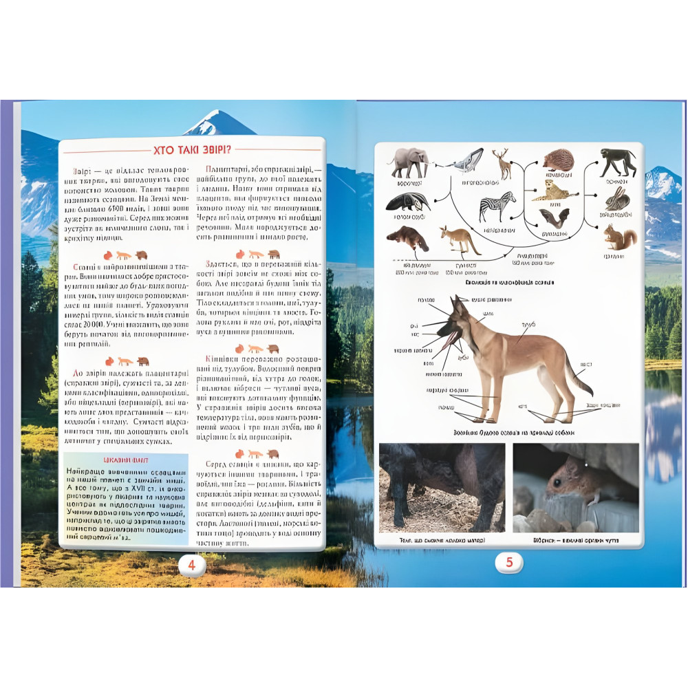 Вы должны это знать. Мир зверей (9786175474693) Вы должны это знать. Мир зверей (9786175474693)