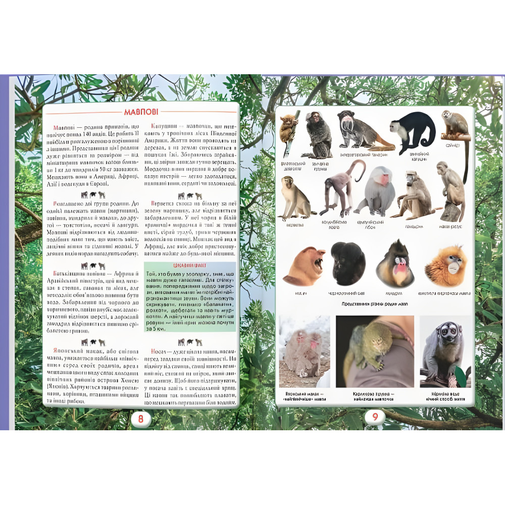 Вы должны это знать. Мир зверей (9786175474693) Вы должны это знать. Мир зверей (9786175474693)