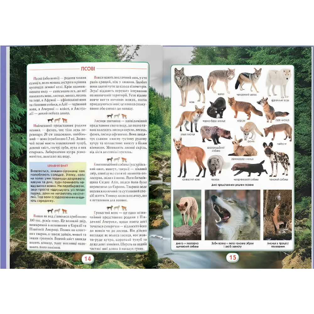 Вы должны это знать. Мир зверей (9786175474693) Вы должны это знать. Мир зверей (9786175474693)