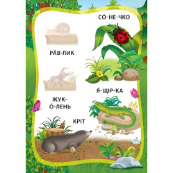 Я читаю по слогам. Приключения в лесу. Книга с наклейками