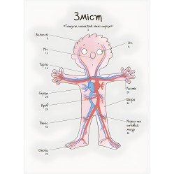 Як улаштоване моє тіло. Книжка для дітей (і дорослих) - Мішель Сімс (9786170042927)