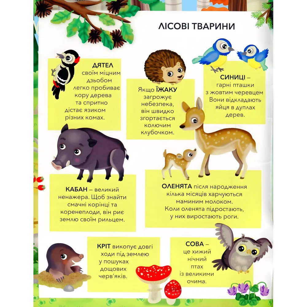 ЗВЕРТЫ В ЛИСЕ ЗВЕРТЫ В ЛИСЕ