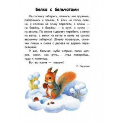 10 історій великим шрифтом. Про тварин (9789667482619) 10 історій великим шрифтом. Про тварин (9789667482619)