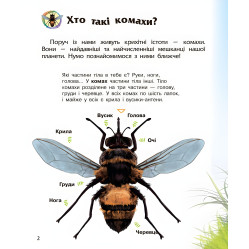 Энциклопедия дошкольника Насекомые