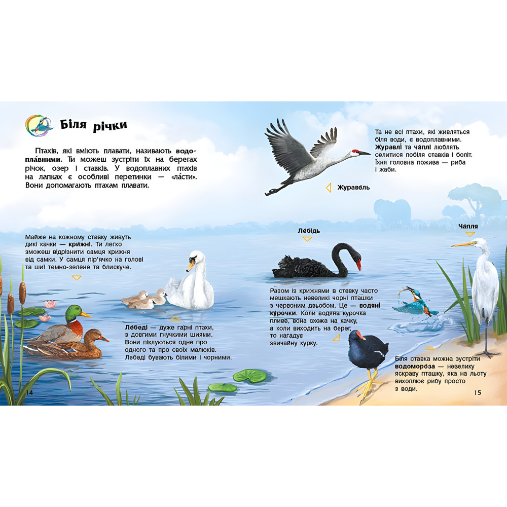 Энциклопедия дошкольника Птицы Энциклопедия дошкольника Птицы