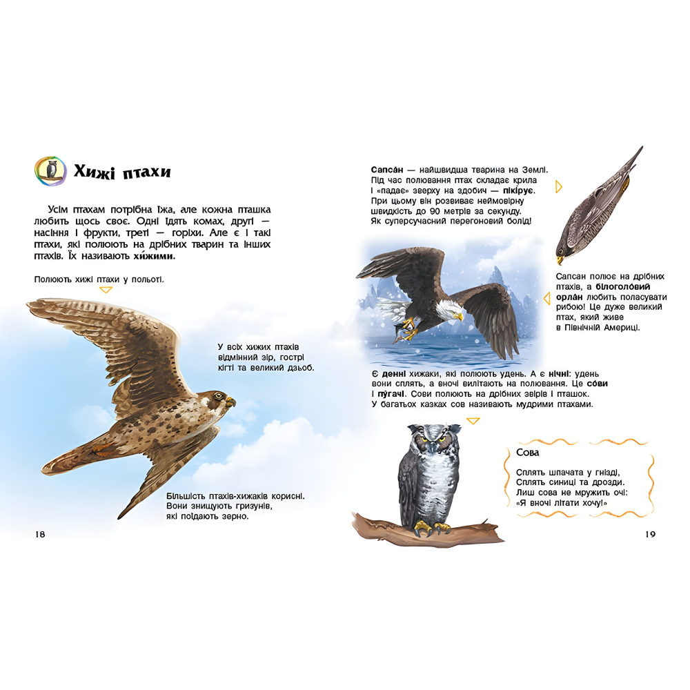 Энциклопедия дошкольника Птицы Энциклопедия дошкольника Птицы