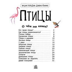 Книга Енциклопедія дошкільника.(рос) Птахи (9786170969132)