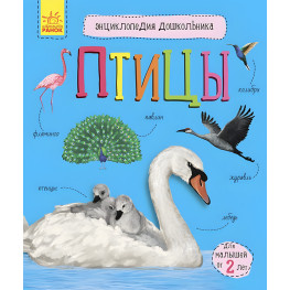 Книга Енциклопедія дошкільника.(рос) Птахи (9786170969132)