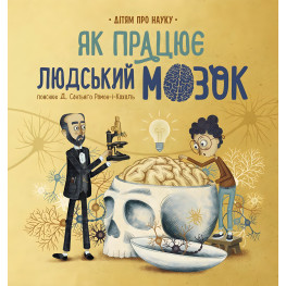 Как работает человеческий мозг Как работает человеческий мозг