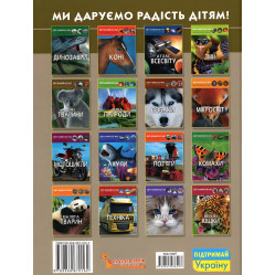 Мир вокруг нас. Стрелковое оружие